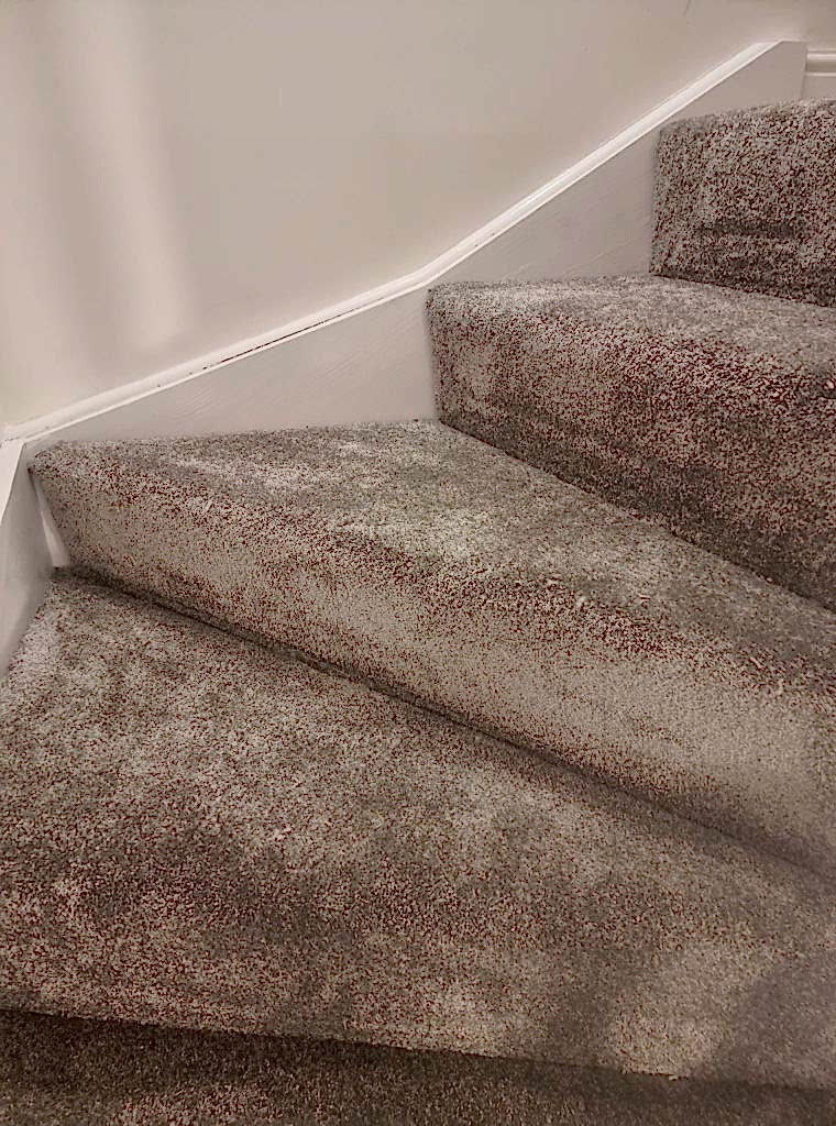 carpet-installation-after-preperation